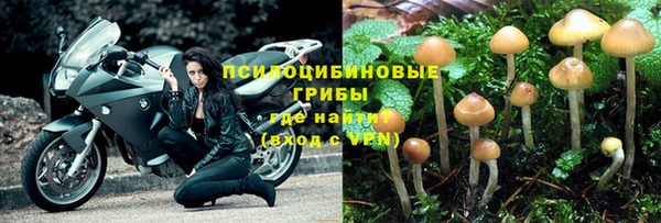 2c-b Нефтекумск
