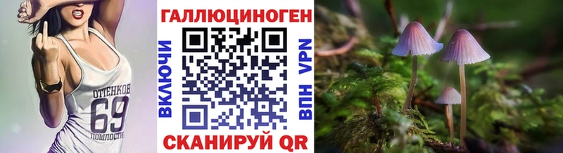 сколько стоит  МЕГА сайт  Псилоцибиновые грибы GOLDEN TEACHER  Чкаловск 